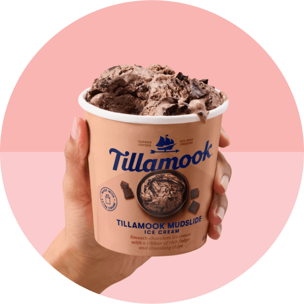 Tillamook mudslide IC pints image